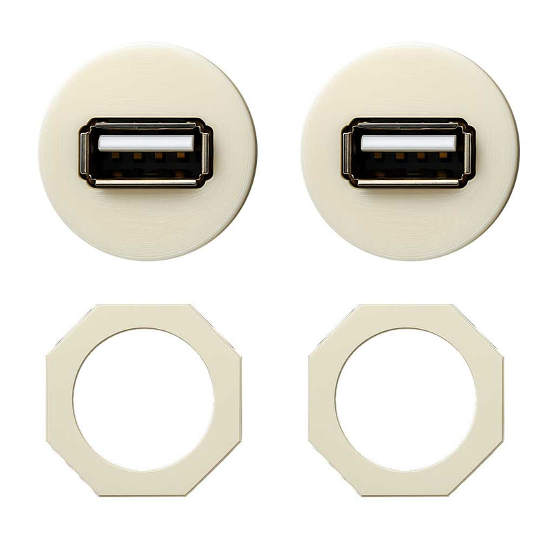قاب روپنلی مادگی USB-A female مدل UPanel بسته دو عددی