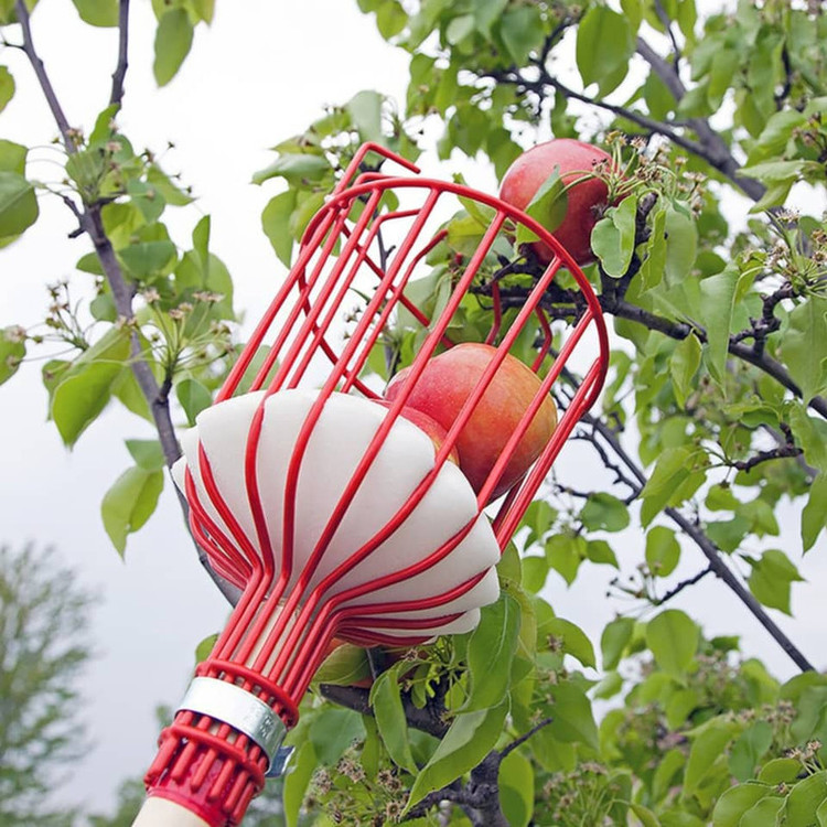 میوه چین مدل سبدی فلزیa-1200