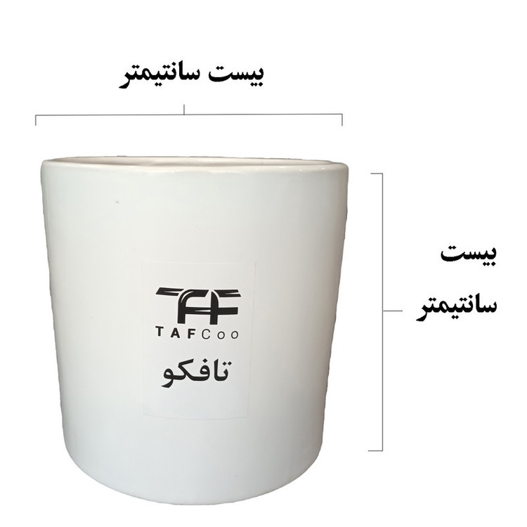 گل طبیعی دیفن باخیا تافکو کد 2029