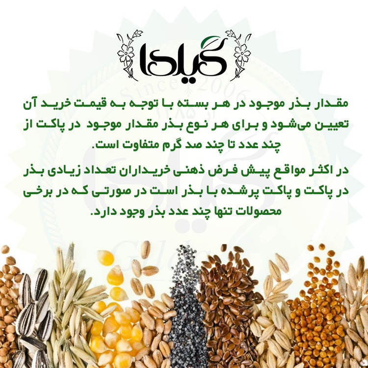 بذر کدو حلوایی زرد گیلدا کد 773