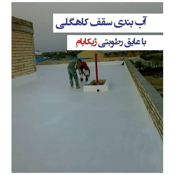 عایق رطوبتی ژیکاوا ژیکابام مدل Zhikabam-WTA100 وزن 1 کیلوگرم