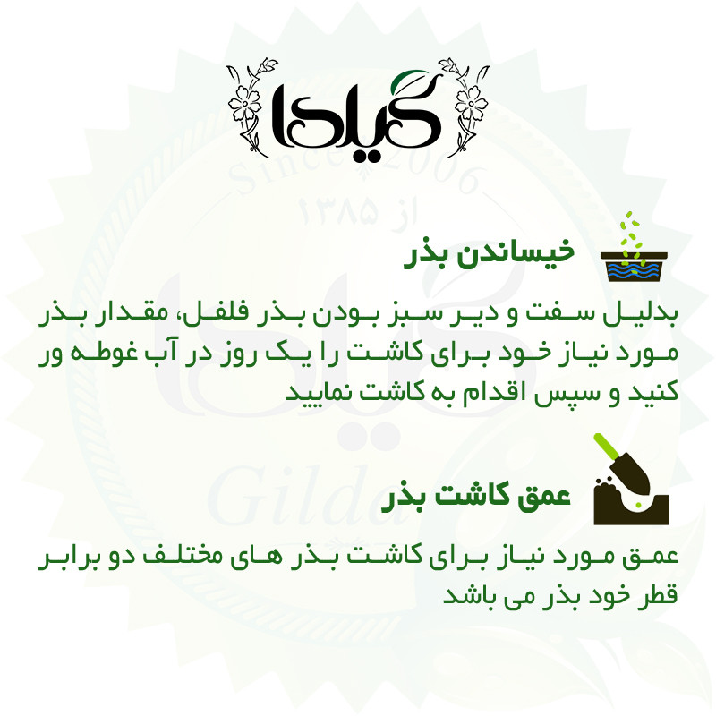 بذر فلفل دلمه میکس گیلدا کد 347