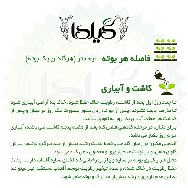 بذر فلفل دلمه میکس گیلدا کد 347