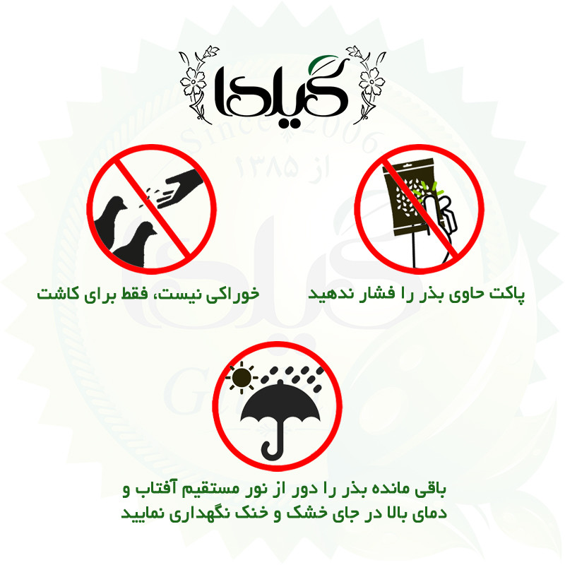 بذر فلفل دلمه میکس گیلدا کد 347